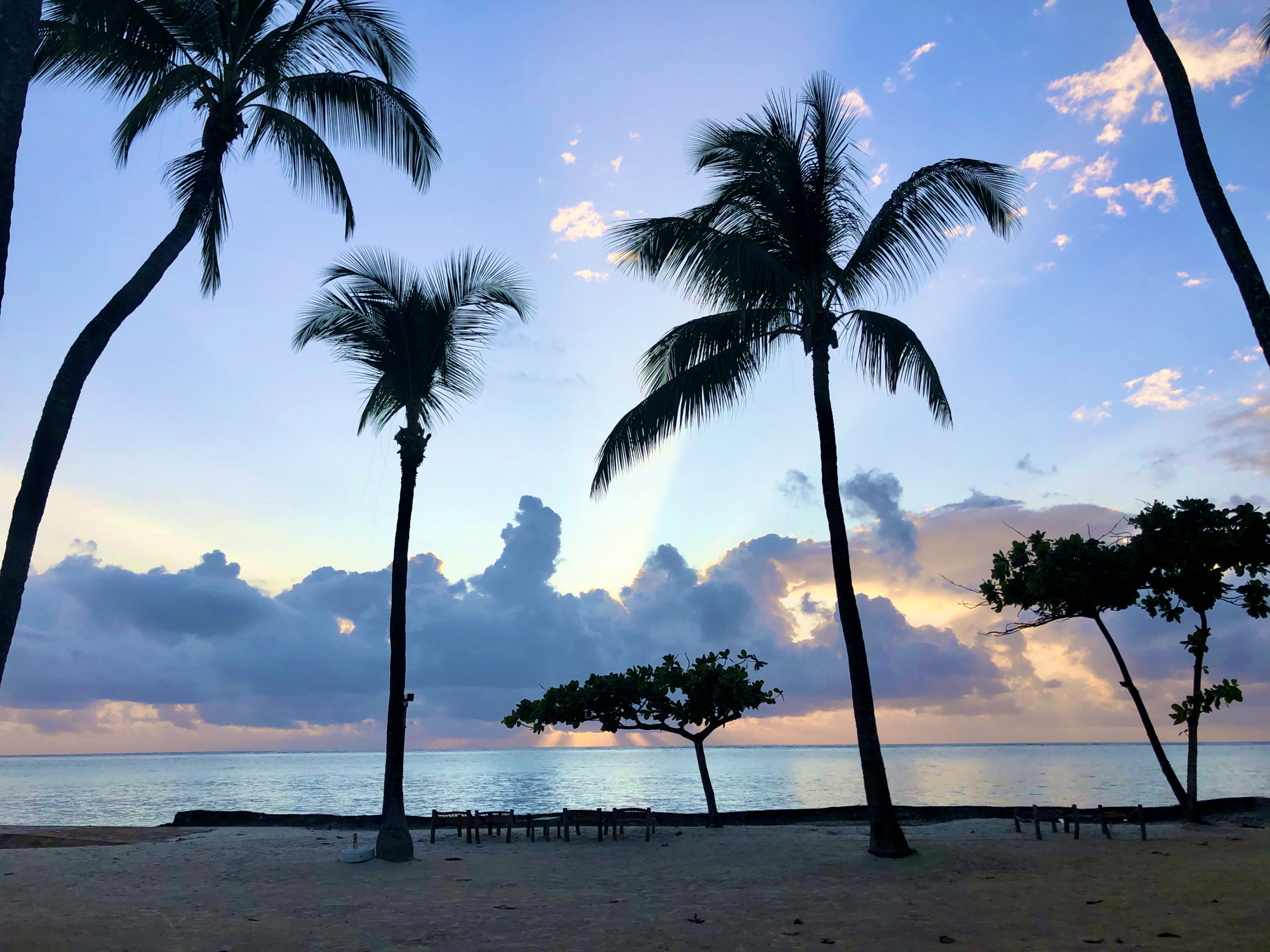 africa, zanzibar