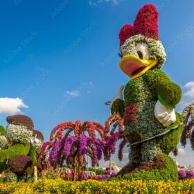 DISNEY ORLANDO MAGIC Disney Springs