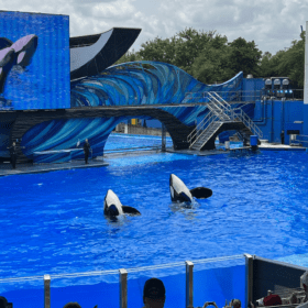 SEAWORLD ORLANDO FUN FACTS IMG_0548