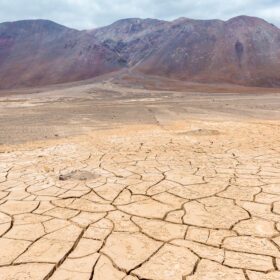 Dry cracked earth, Atacama, Chile
