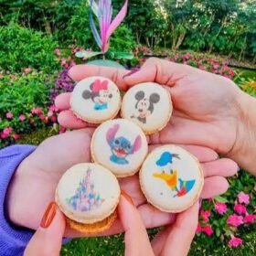 macrons