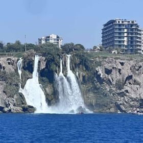 IMG_6290 (1)