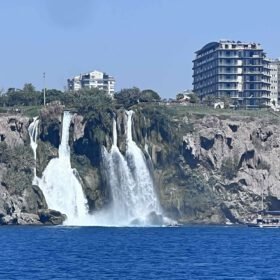 IMG_6291