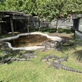 FLORIDA: THE ULTIMATE SUNSHINE STATE ROAD TRIP Img 9657