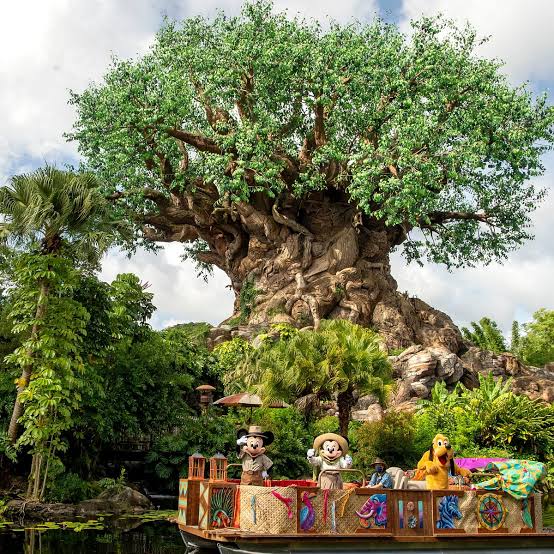 Animal Kingdom