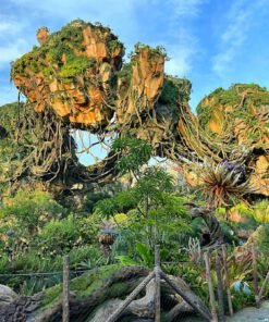 Animal Kingdom Pandora – The World Of Avatar travel photo