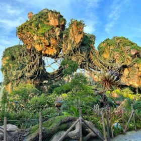 Animal Kingdom Pandora – The World Of Avatar travel photo
