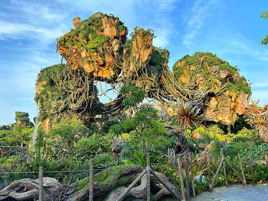 Animal Kingdom Pandora – The World Of Avatar travel photo