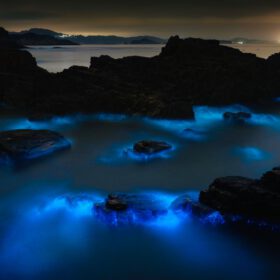 Bioluminescent Bay Except... It Was Still Too Light travel photo