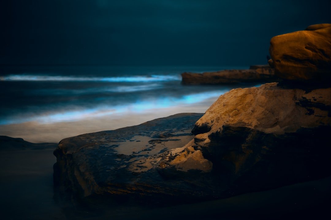 Bioluminescent Bay It Wasn't Dark Enough. travel photo