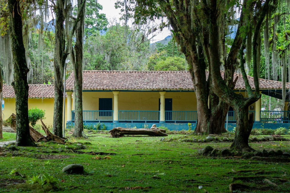 Casa Cubuy → [El Yunque With Kids] travel photo