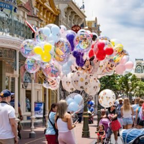 Disney World Cityscape travel photo