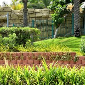 Disney World Park Garden Landscape travel photo