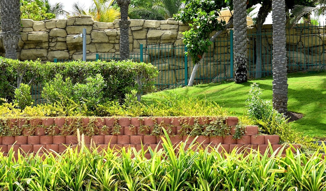 Disney World Park Garden Landscape travel photo