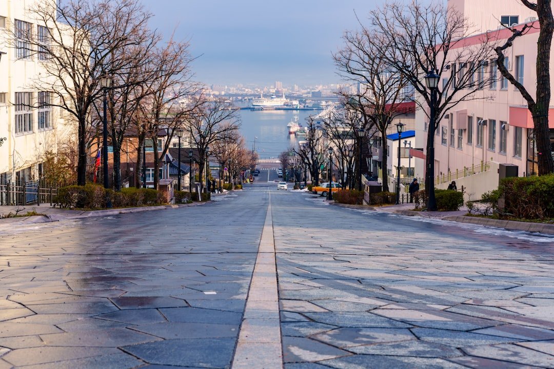 Harajuku Cobblestone Street Empty travel photo
