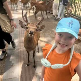 Nara with Kids: When the Deer Were a Little Too Close for Comfort