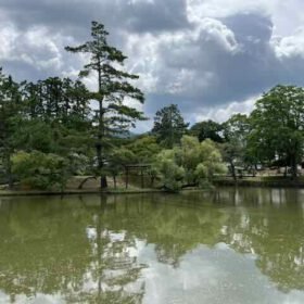trees (p