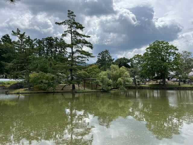 trees (p
