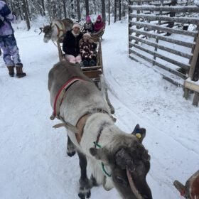 Reindeer pulling a family in a wooden sleigh through a snowy winter forest trail.