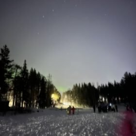 Group of people on a snowy trail in a winter pine forest at night under a starry sky with a faint northern lights glow.