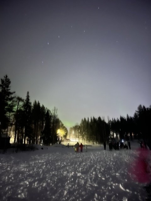 Group of people on a snowy trail in a winter pine forest at night under a starry sky with a faint northern lights glow.