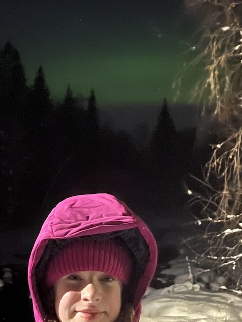 Person wearing a pink winter coat with green northern lights glowing in the dark sky over a snowy pine forest.