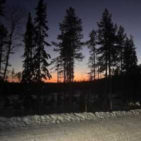 Silhouetted pine trees line a snowy road under a deep blue twilight sky with a glowing orange sunset.