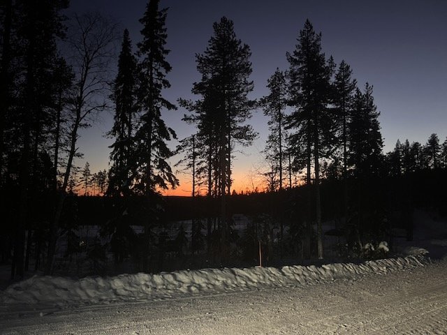 Silhouetted pine trees line a snowy road under a deep blue twilight sky with a glowing orange sunset.