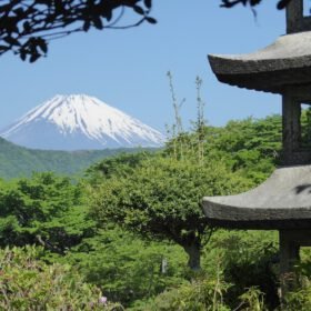 Mount Fuji Walking Through The Forest travel photo