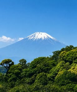 Mount Fuji Walking Through The Forest travel photo