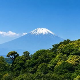 Mount Fuji Walking Through The Forest travel photo