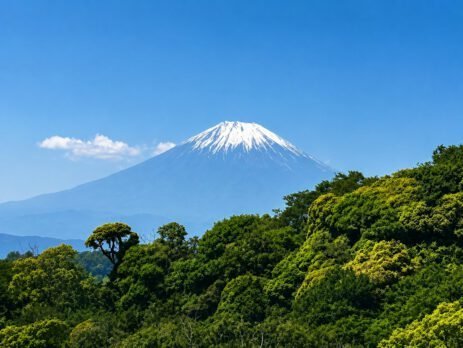 Mount Fuji Walking Through The Forest travel photo
