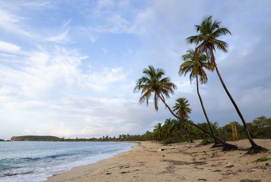 Puerto Rico Beach Landscape No People travel photo