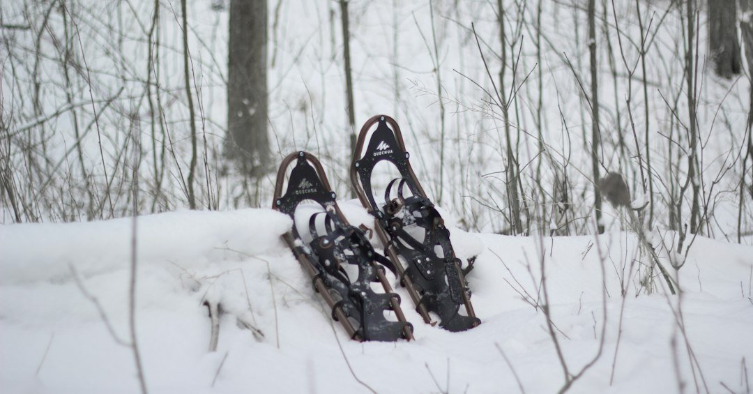 Snowshoeing In travel photo