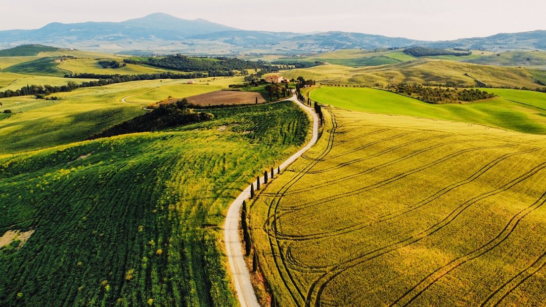 The Best Route 1: Tuscany Road Trip travel photo