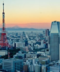 Tokyo Arriving In Tokyo With Kids travel photo
