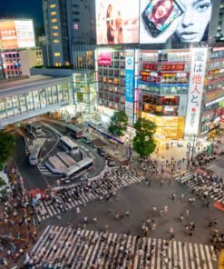 Tokyo Shibuya Crossing: Tokyo's Big Moment travel photo