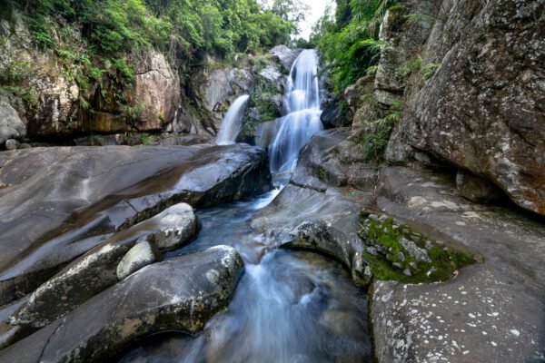 El Yunque with Kids: Chasing Waterfalls in Puerto Rico’s Rainforest